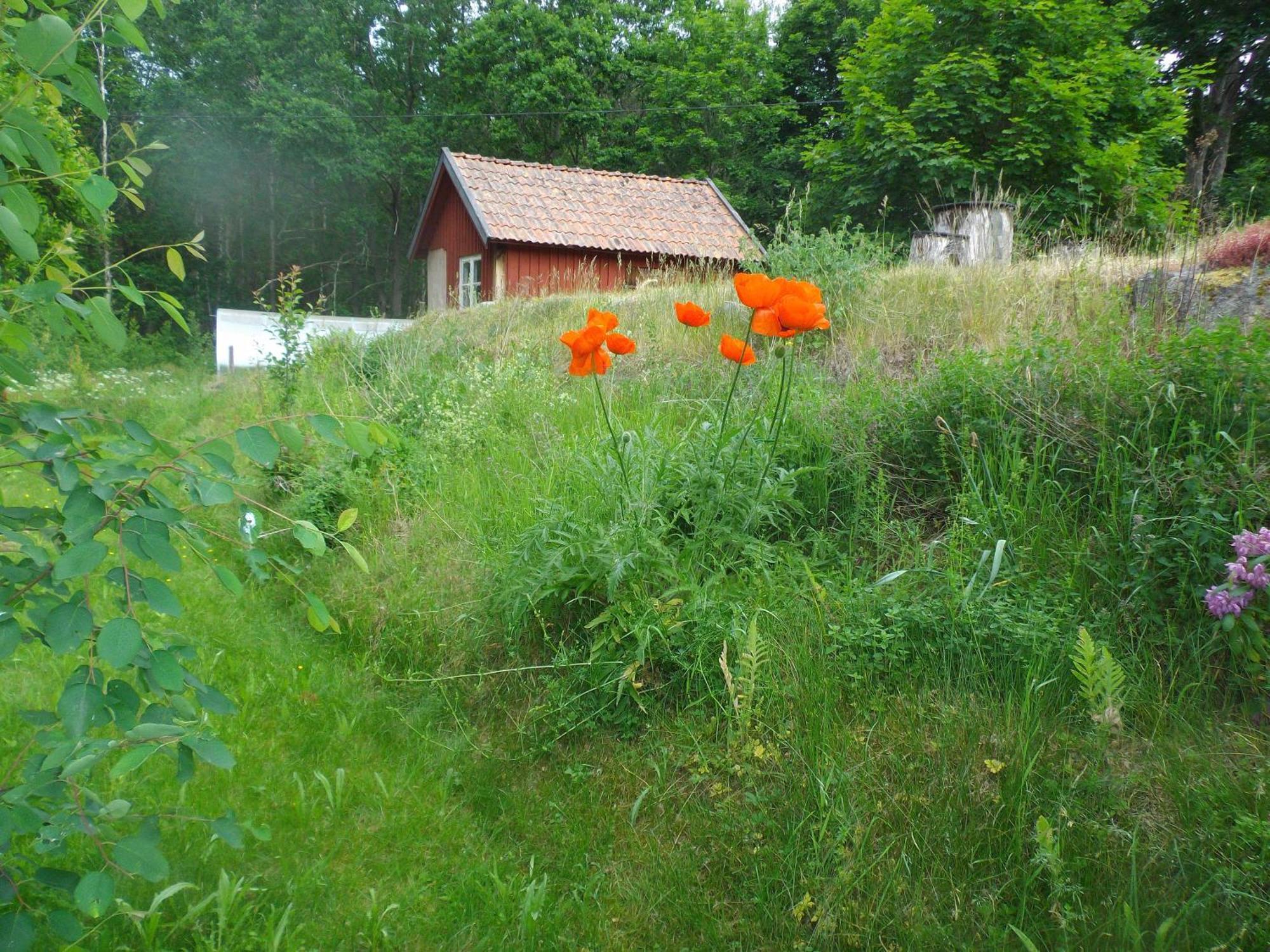 Awesome Home In Rockneby With 2 Bedrooms Eksteriør bilde