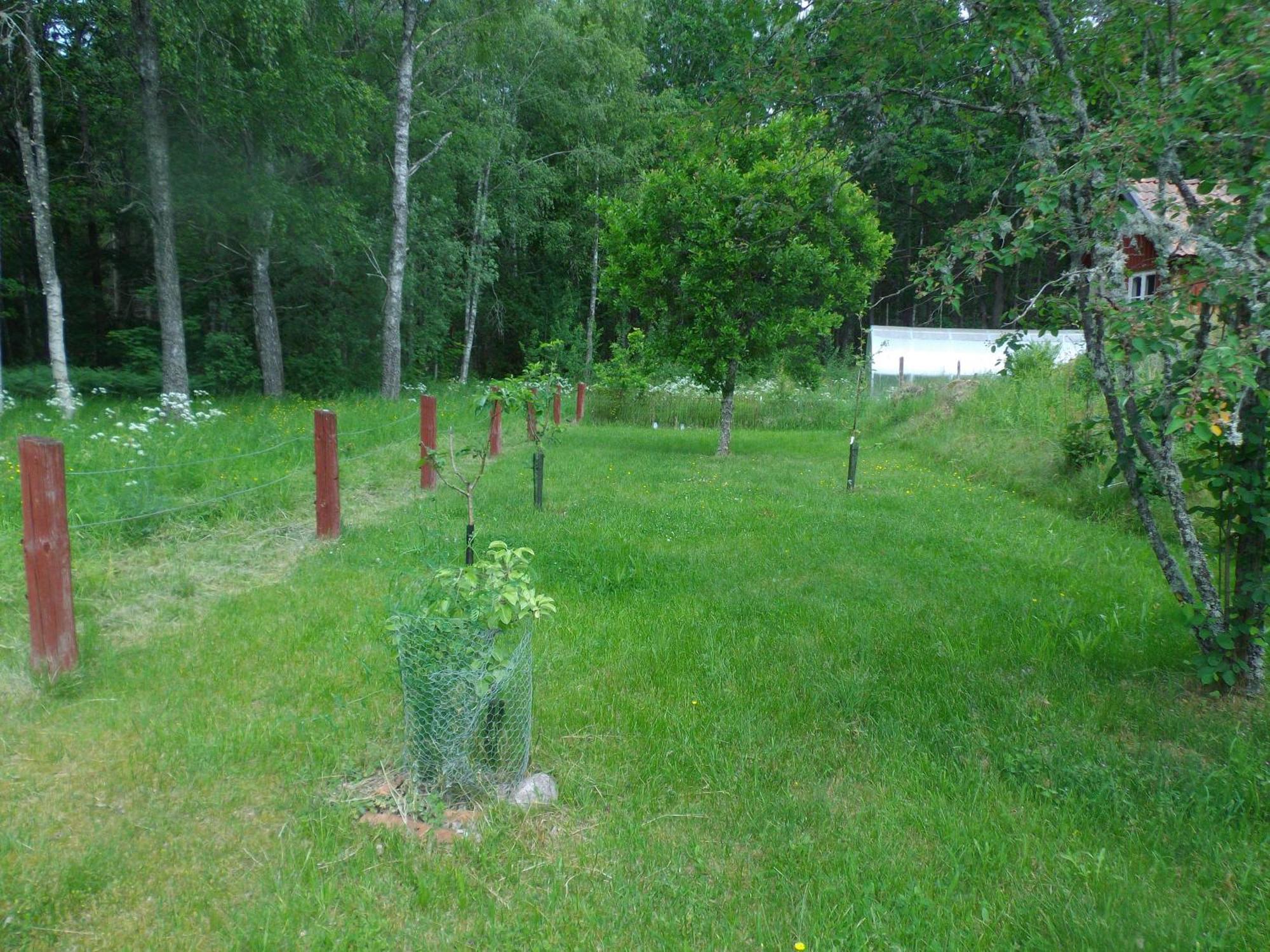 Awesome Home In Rockneby With 2 Bedrooms Eksteriør bilde